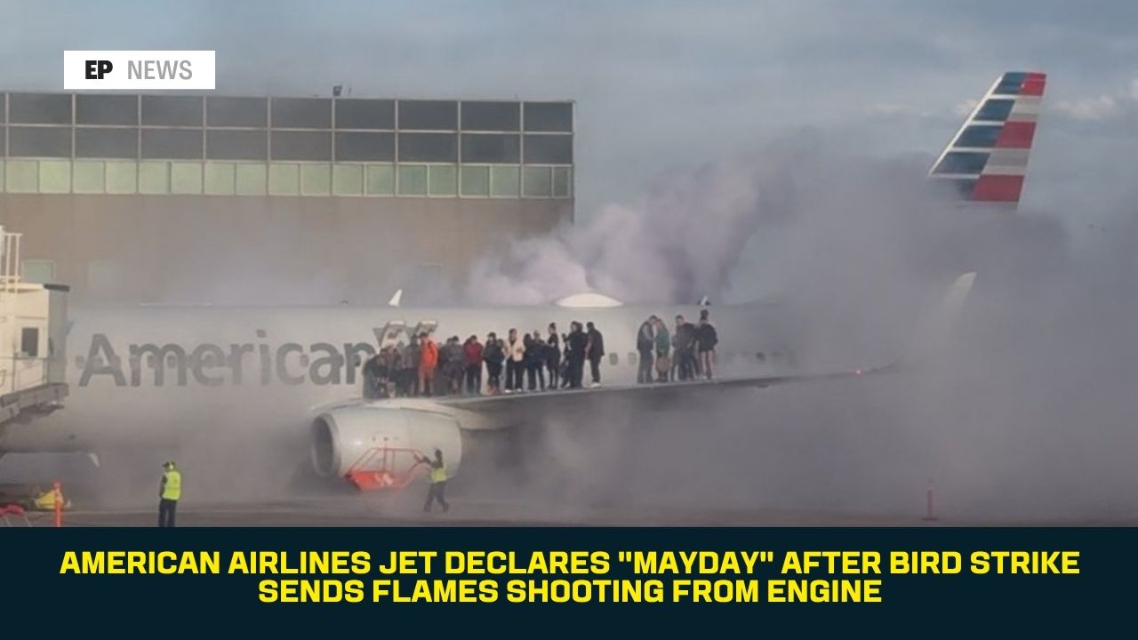 American Airlines Jet Declares "Mayday" After Bird Strike Sends Flames Shooting From Engine