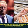 FDA Upgrades 19 Million Egg Recall to Highest Risk Level as Salmonella Cases Climb