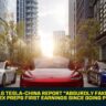 Musk Calls Tesla-China Report "Absurdly Fake News" as SpaceX Preps First Earnings Since Going Public