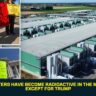Data Centers Have Become Radioactive in the Midterms — Except for Trump