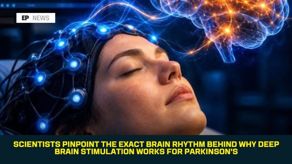 Scientists Pinpoint the Exact Brain Rhythm Behind Why Deep Brain Stimulation Works for Parkinson’s