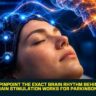 Scientists Pinpoint the Exact Brain Rhythm Behind Why Deep Brain Stimulation Works for Parkinson's